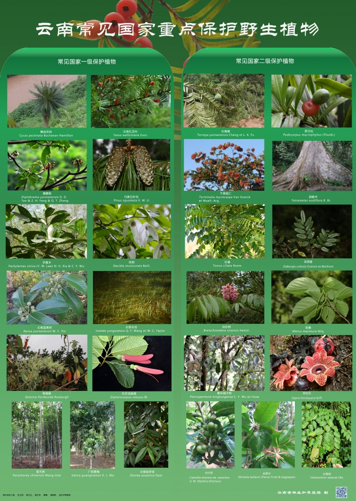 以案普法：危害国家重点；；；；；；ぶ参镒